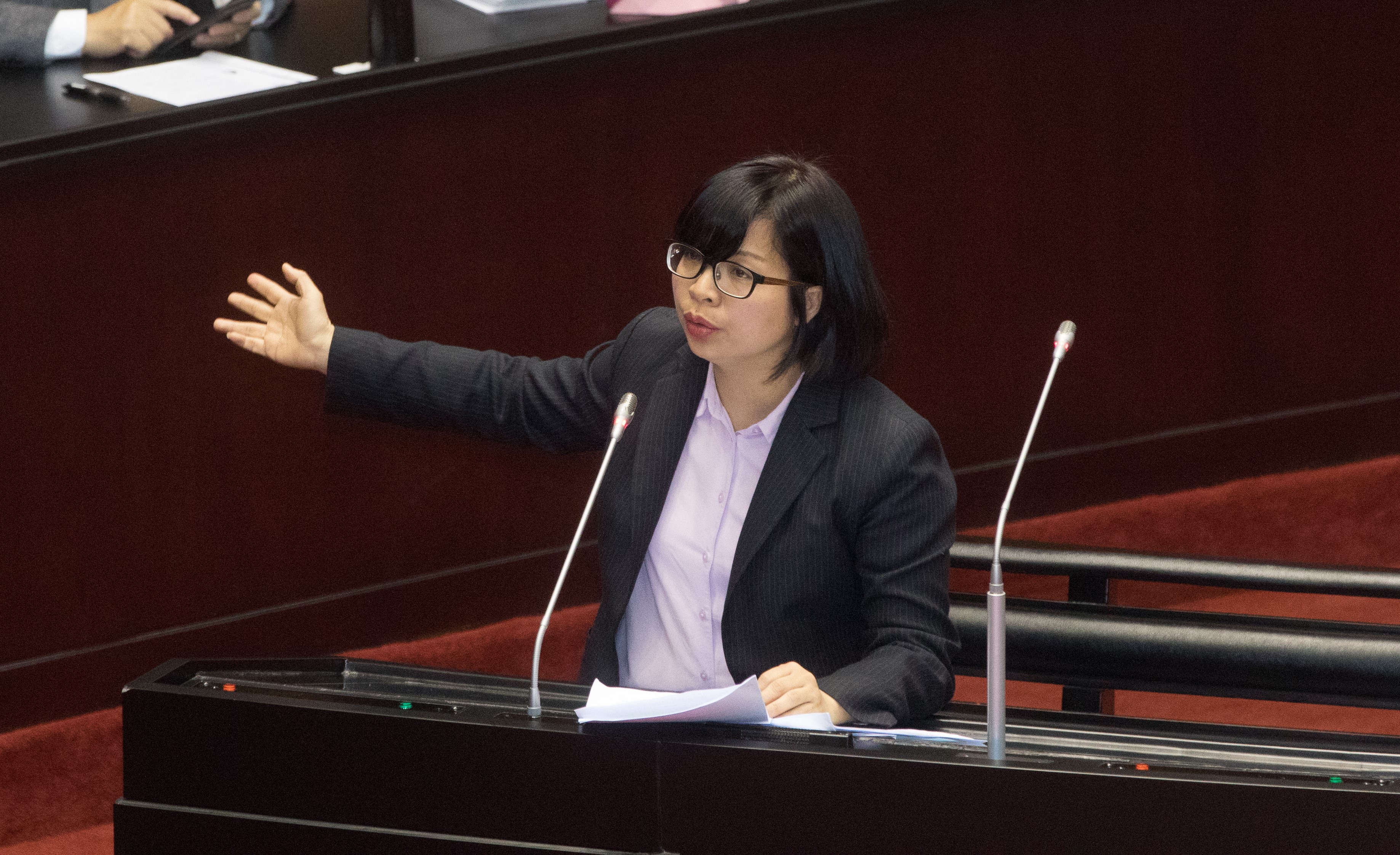 民進黨立委林淑芬因萊豬表決跑票遭黨團處分，無法選擇自己擅長的委員會。（資料照）