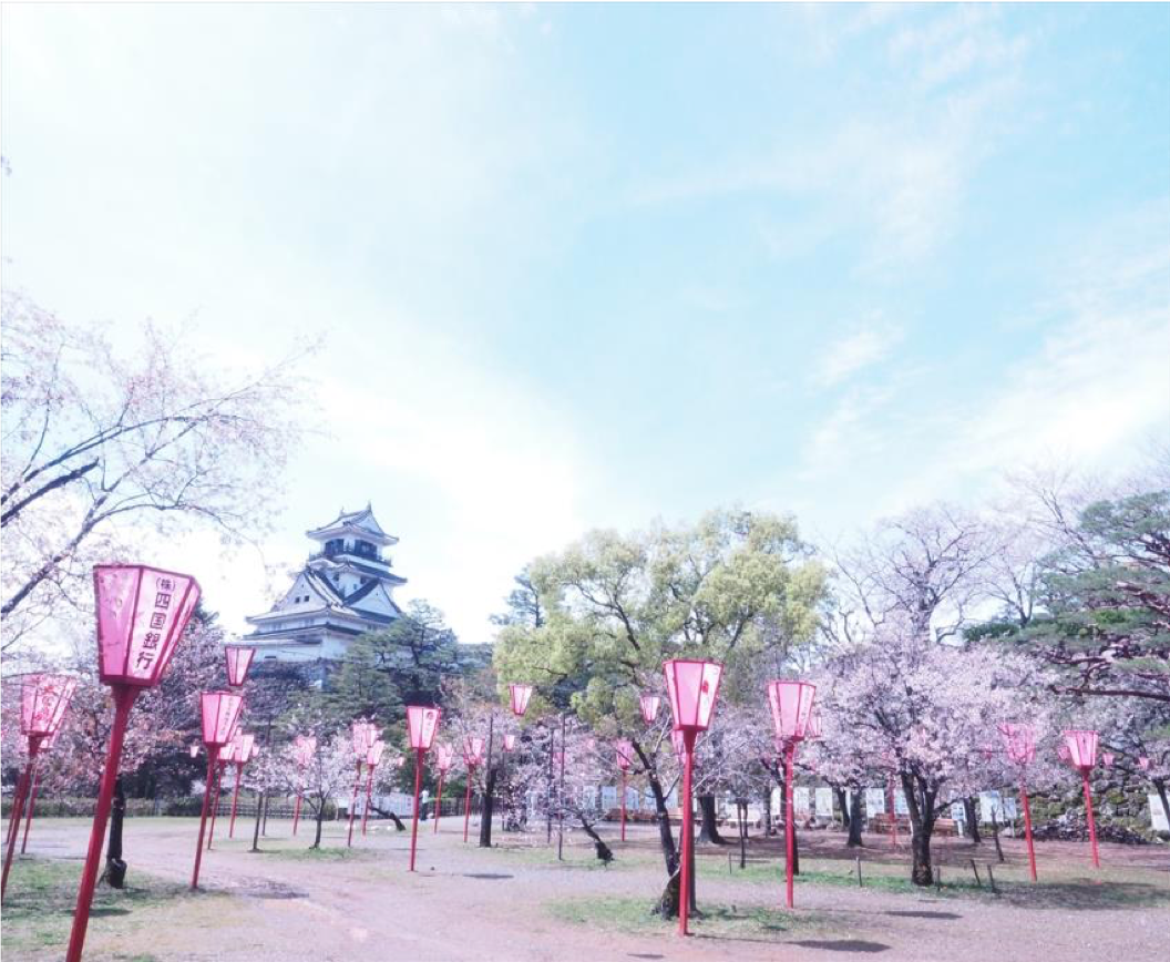 高知城是縣內賞櫻名所。(日本高知縣提供)