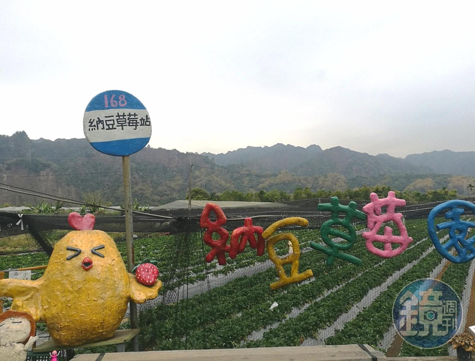 充滿童趣的招牌，適合親子一起入園採草莓。