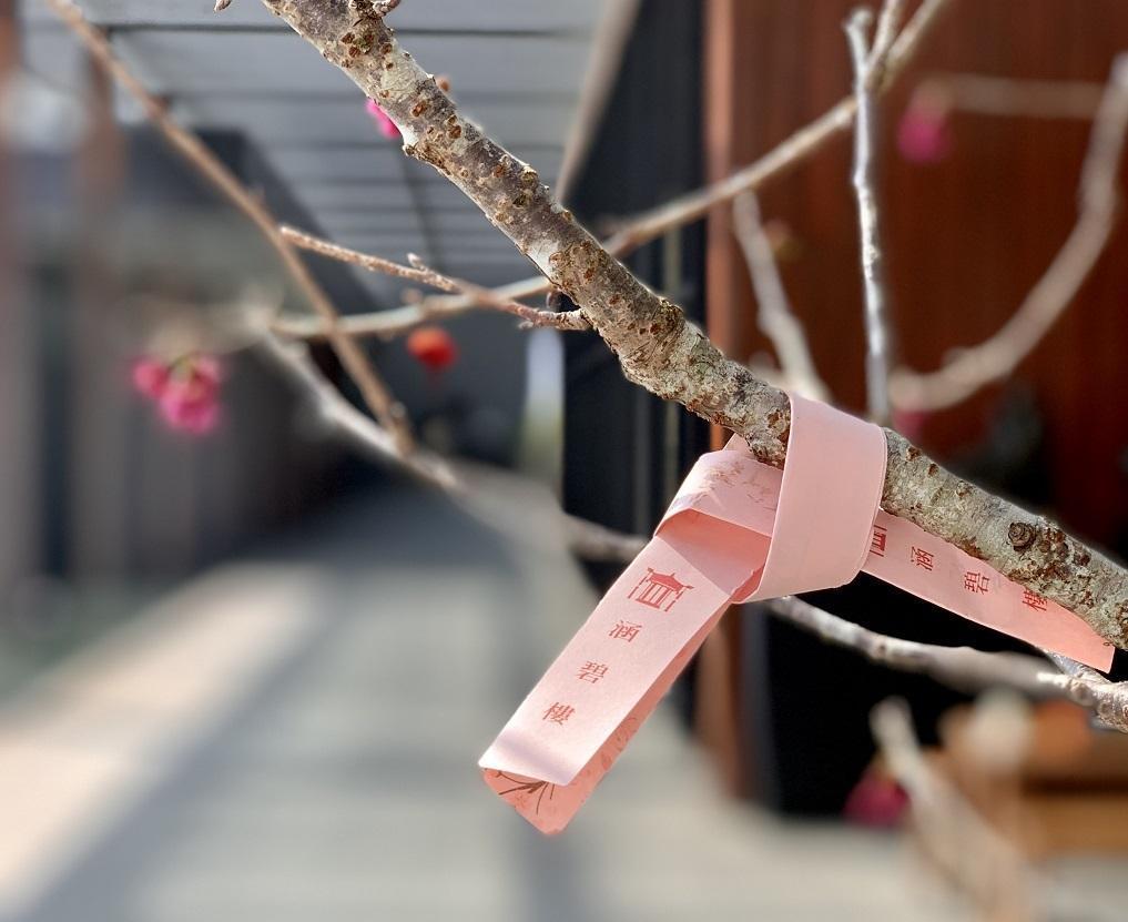 專案房客可寫上祈願好運簽，綁在櫻花樹上。（涵碧樓提供）