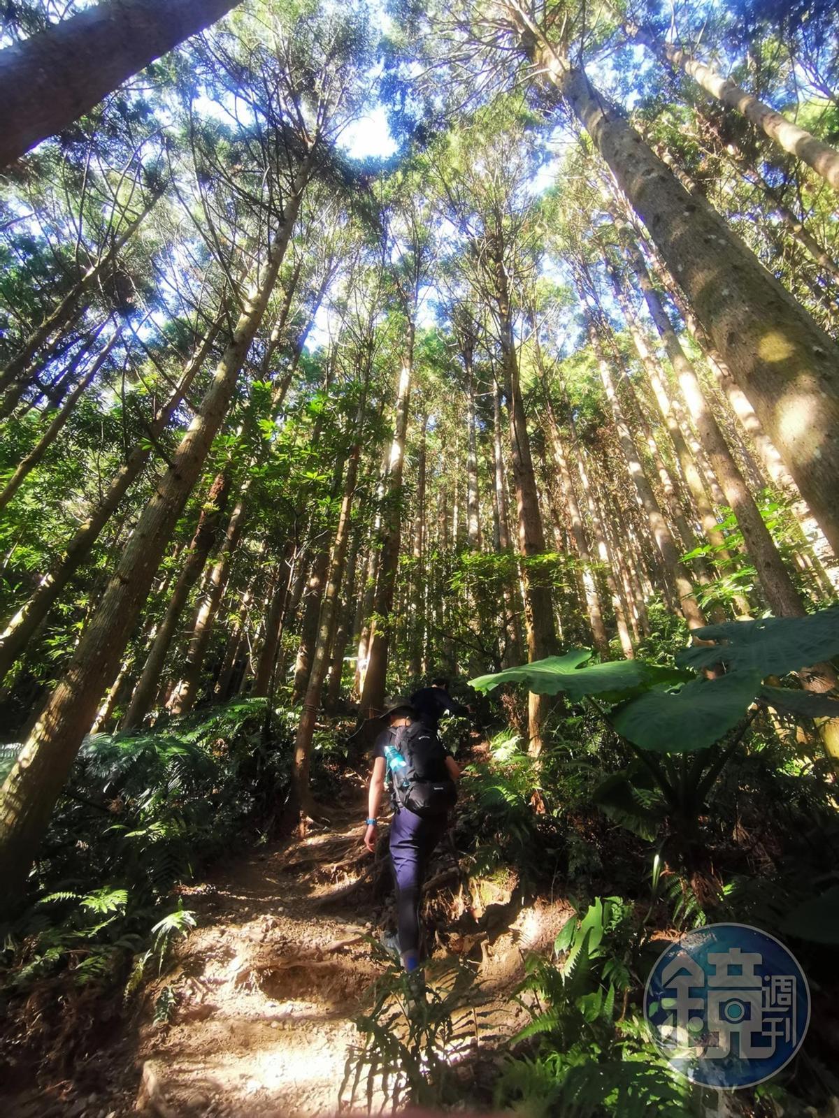剛開始的陡上路段，陡到讓人懷疑人生，回程的下坡更磨人。