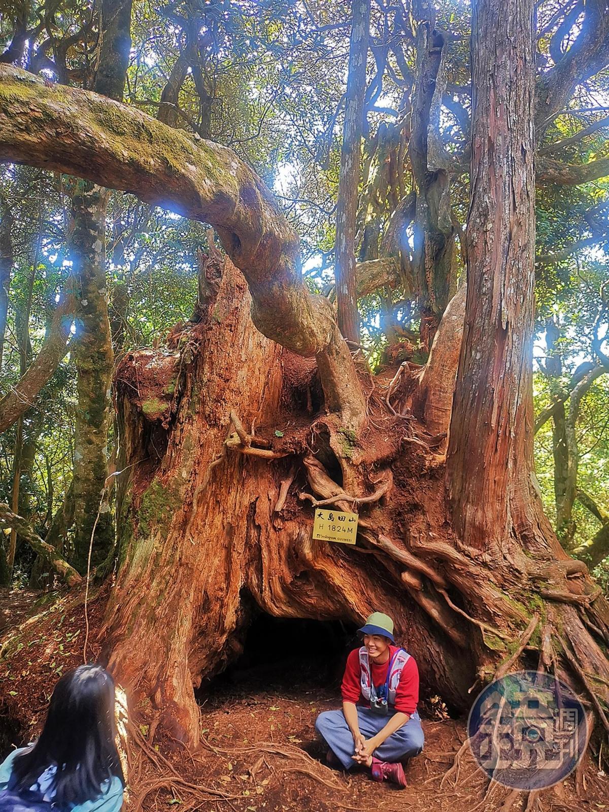 大島田山標高1824公尺，是此行的終點。
