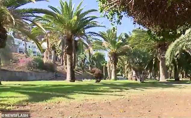 位於大西洋的大加納利群島日前發生駭人聽聞的性侵案件。（翻攝自《每日郵報》）