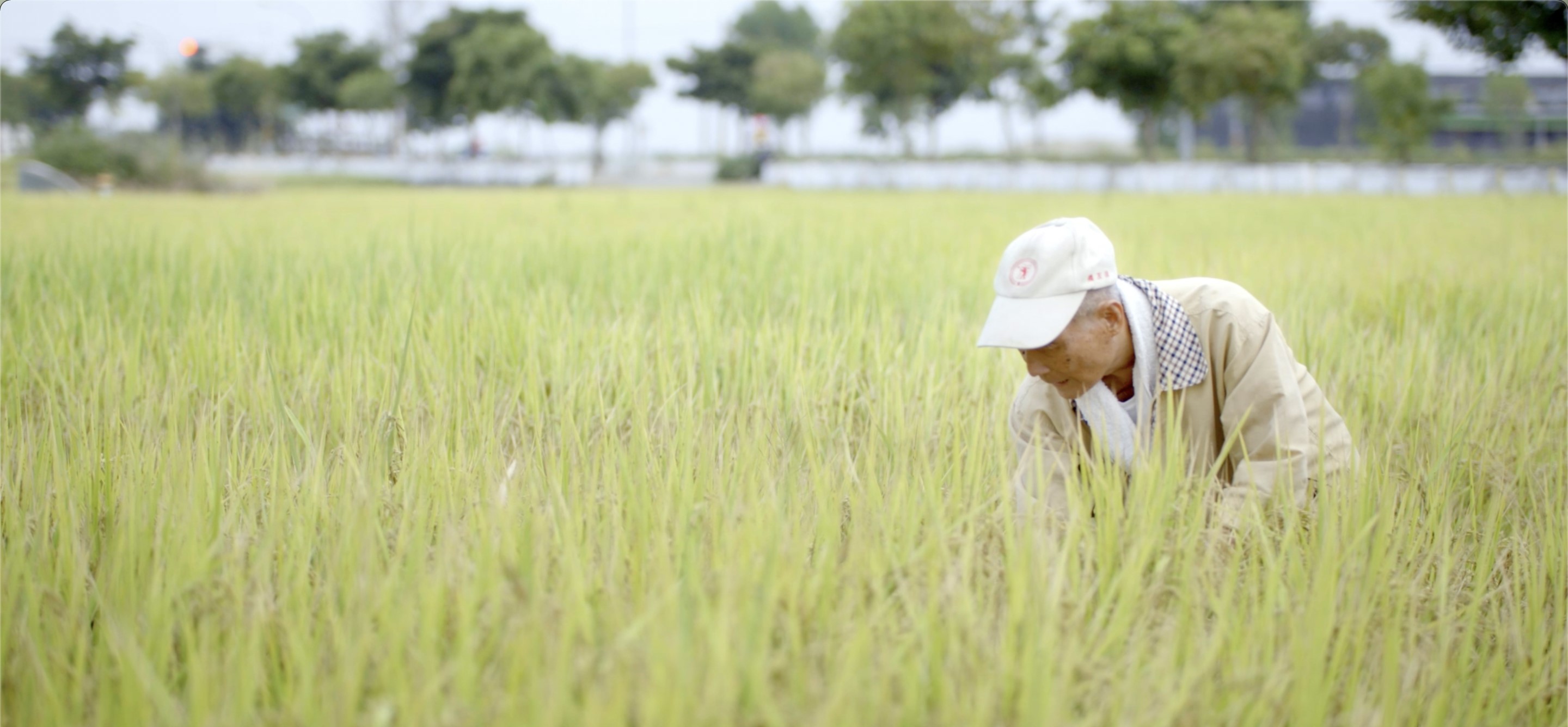 公視紀錄片《未完成的任務：現代台灣締造者》第3集〈翻轉命運的土地改革〉中，留下甫過世的「崑濱伯」身影。（公視提供）