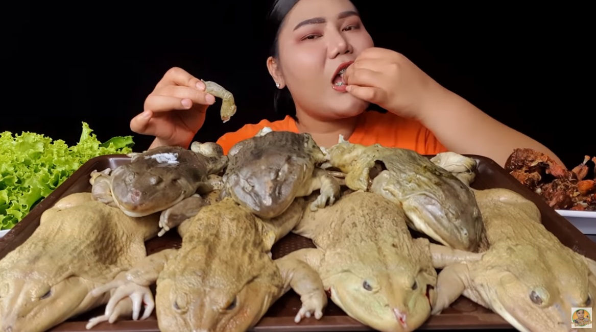 泰國網紅大膽吃「水煮青蛙」，引起許多網友驚嚇。（翻攝自ไอซ์ซี่ กินยั่ว YouTube）
