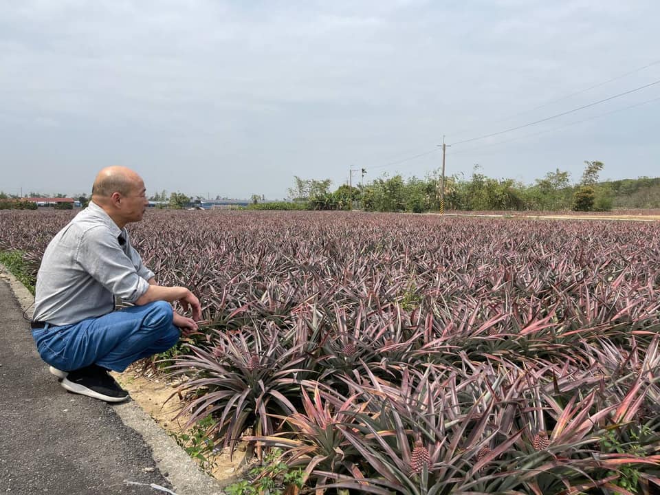 前高雄市長韓國瑜於臉書po出他望著鳳梨田的照片，詢問大家寫道「猜猜我在哪？」（翻攝自韓國瑜臉書）