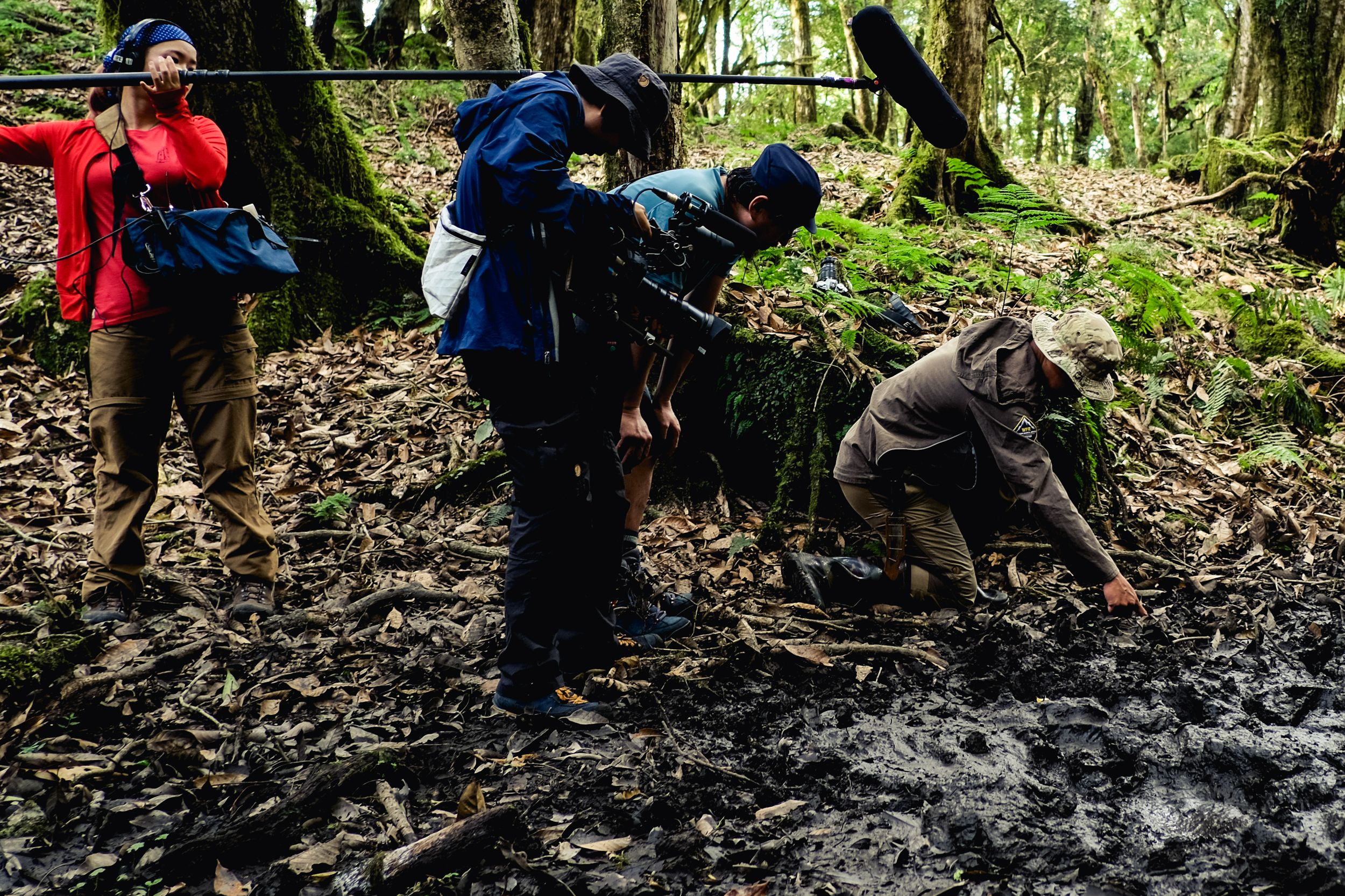 水坑是動物的資訊交換站，劇組透過自動相機捕捉到珍貴的台灣黑熊畫面。（公視提供）