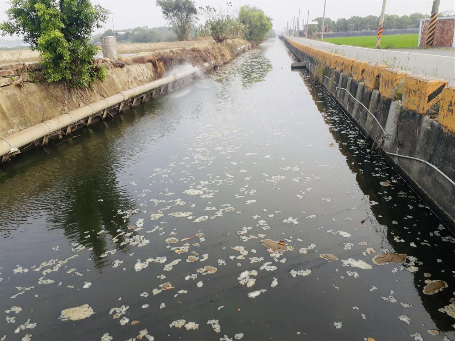 牧場未依照規定，直接將牛隻糞便排入大排。（高雄市環保局提供）