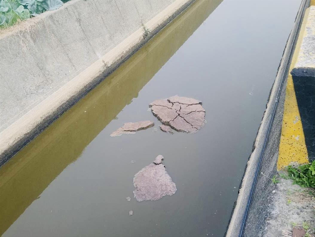 牛糞飄在水面上。(高雄市環保局提供)