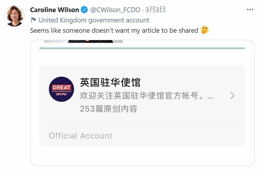 吳若蘭的文章遭到中國禁止分享,她直言「看來有人不希望我的文章被分享」。(翻攝自吳若蘭推特)