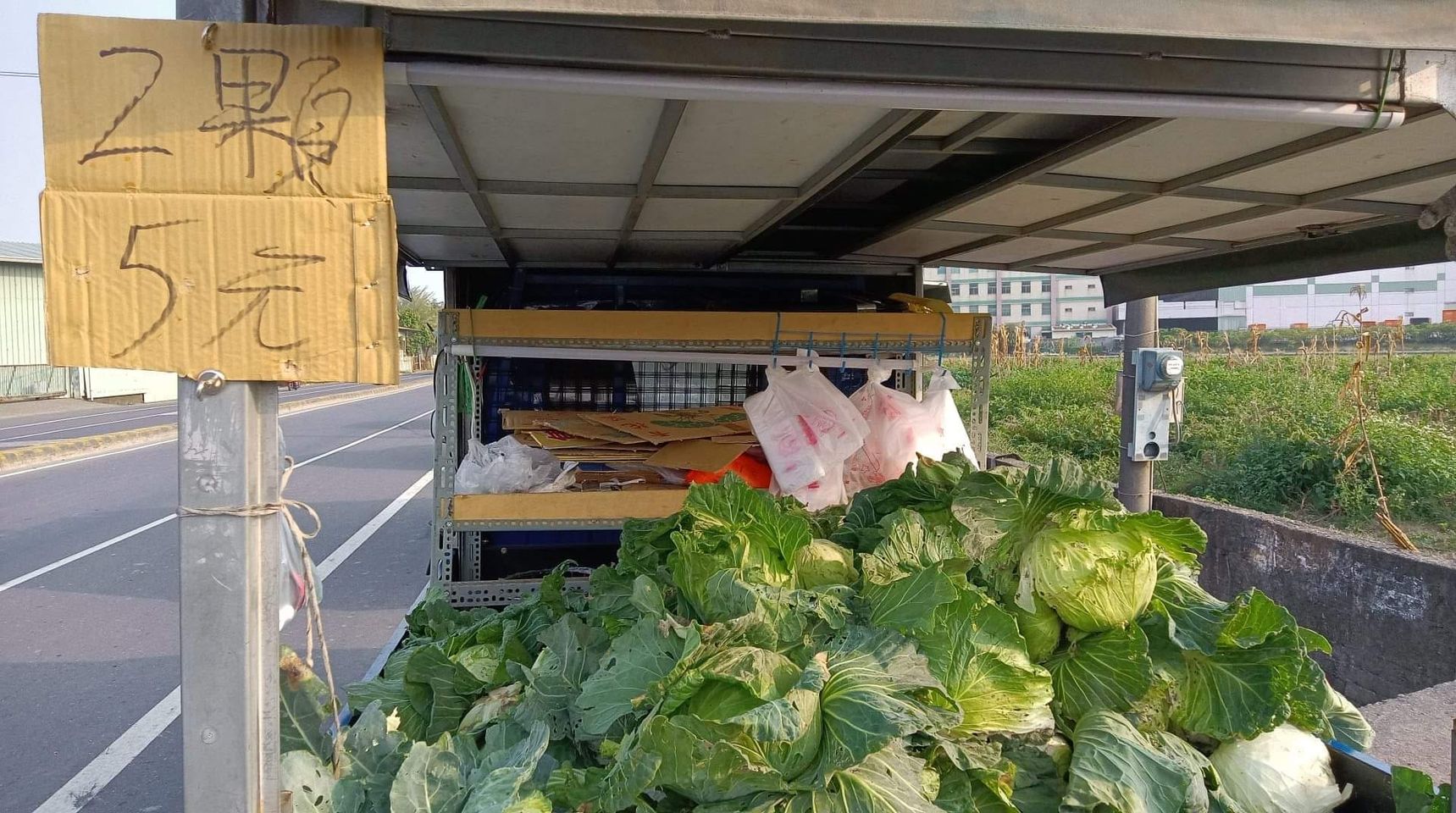 嘉義菜農以「2顆5元」拋售高麗菜,超便宜的價格看得網友心疼。(翻攝自爆廢1公社)