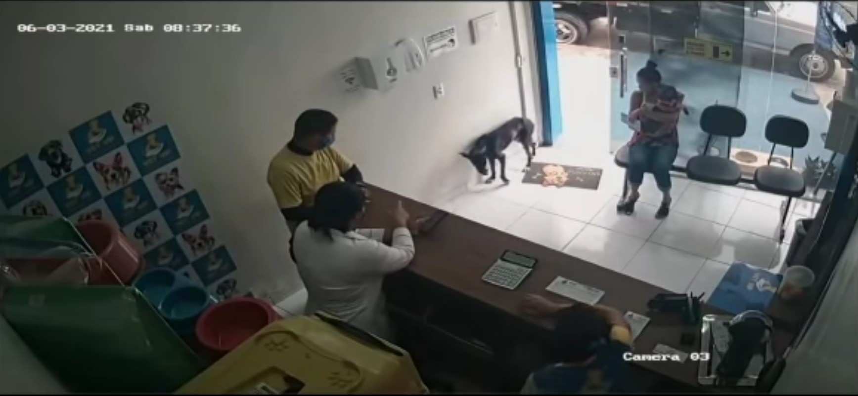 小黑狗自己走入獸醫診所。（翻攝自The Dodo）