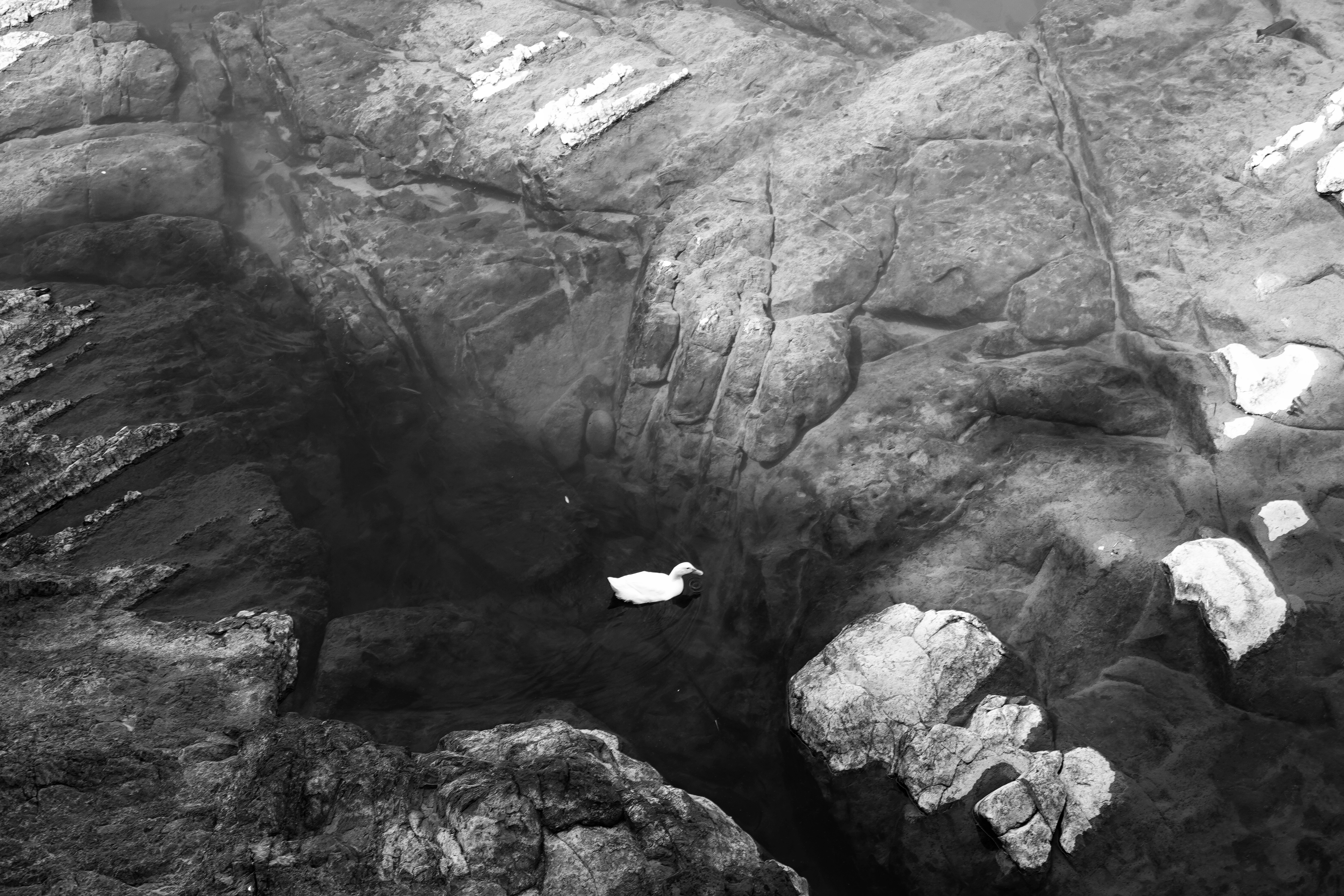 【詩】AM 2：43　蔡凱文