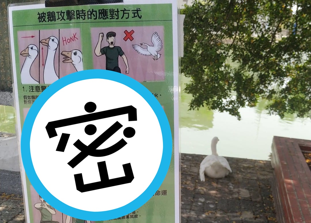 有網友在崑山科大內湖邊發現，有人張貼「被鵝攻擊時的應對方式」告示牌。（翻攝自路上觀察學院臉書社團）