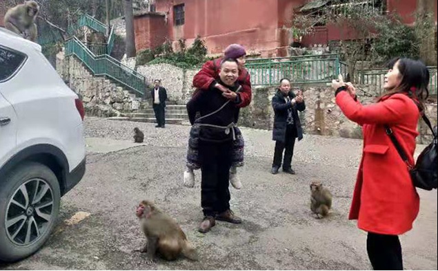 陳湘「孝子背母餵猴」的畫面，在中國大陸網路上瘋傳。（翻攝自阿里巴巴天天正能量微博）
