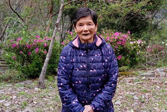 88歲的「鳳梨阿嬤」吳阿陰已失蹤5天，該社區的村民除動員搜尋外，也施放鞭炮希望能嚇走「魔神仔」。（翻攝自楊泰昌臉書） 