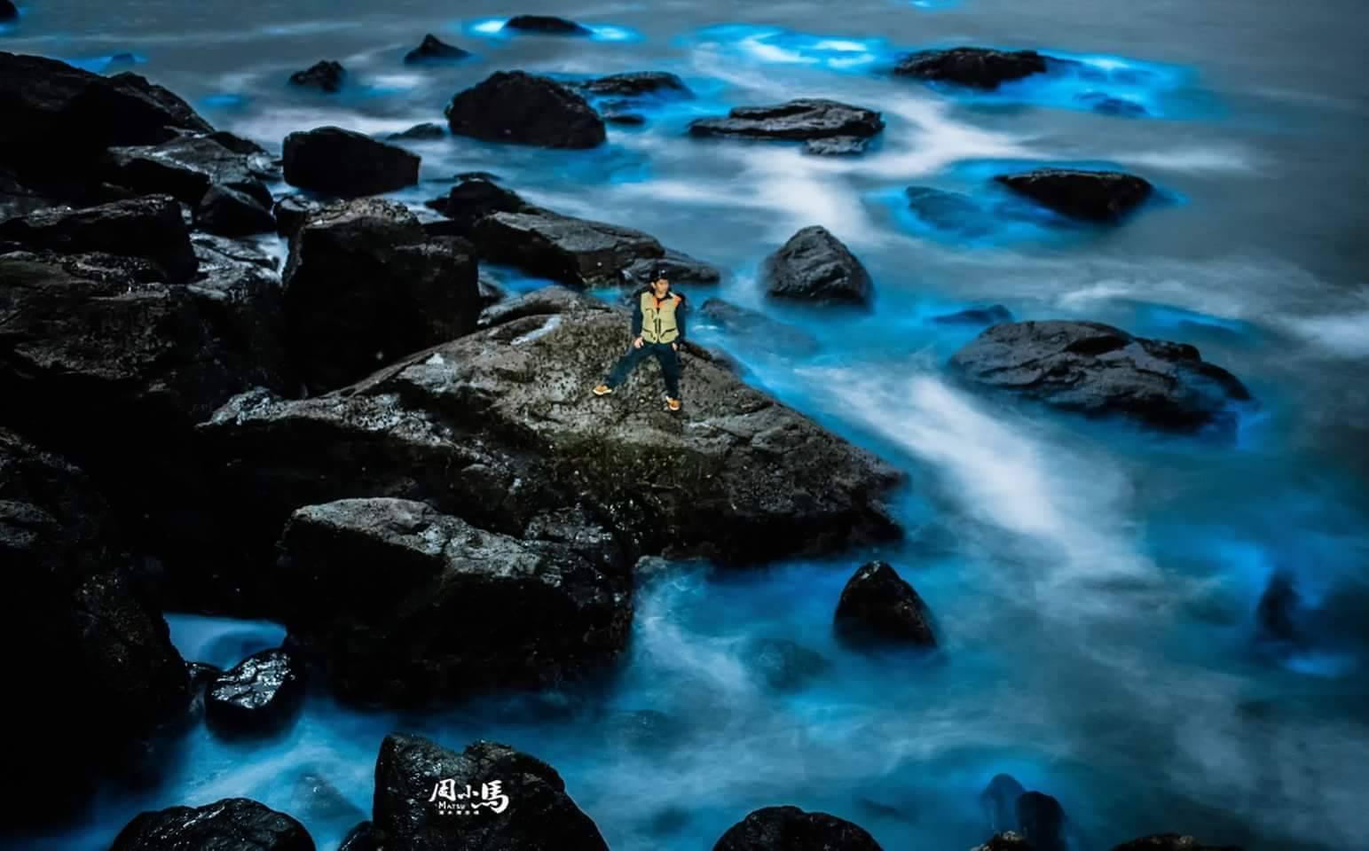 每年春夏交替,便是馬祖「藍眼淚」爆發季節,海面被染成整片藍色螢光。(臉書「馬祖有個周小馬 追淚人」提供)