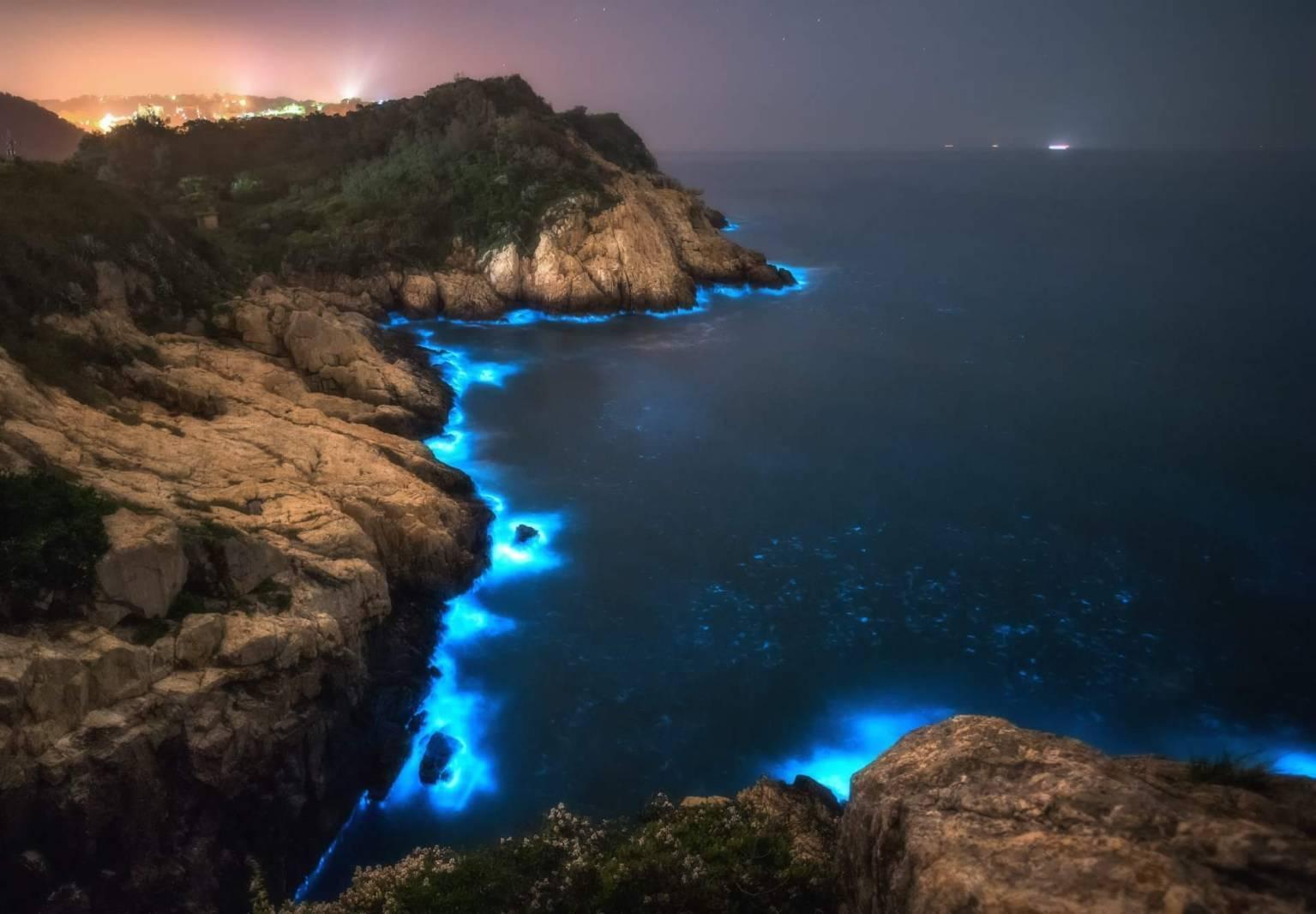 「藍眼淚」的誕生源自於會發光的夜光蟲(渦鞭毛藻),經過海浪與風吹拂驚擾,發出淡藍色螢光。(臉書「馬祖有個周小馬 追淚人」提供)