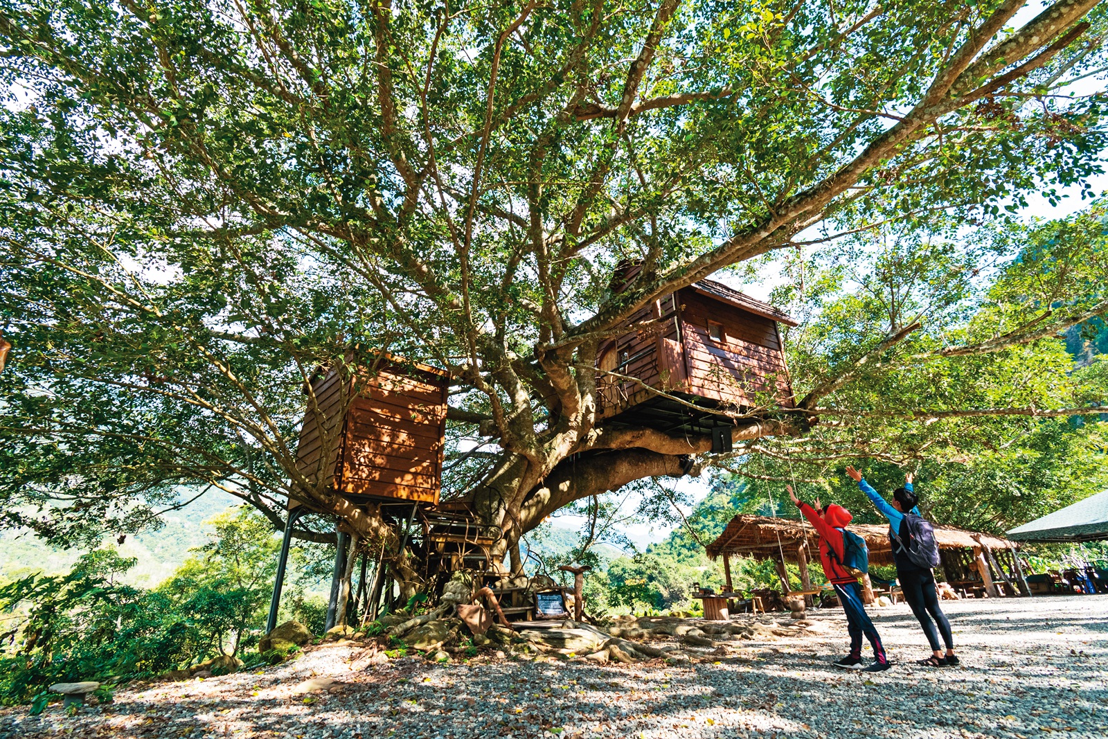 樹上只有一屋及一間衛浴，每天僅供一組客人入住。