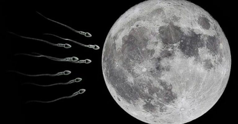科學家提議將670萬物種的生物樣本發射到月球上。(翻攝munchable.com)