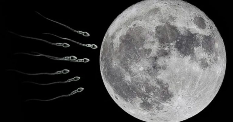 科學家提議將670萬物種的生物樣本發射到月球上。（翻攝munchable.com）