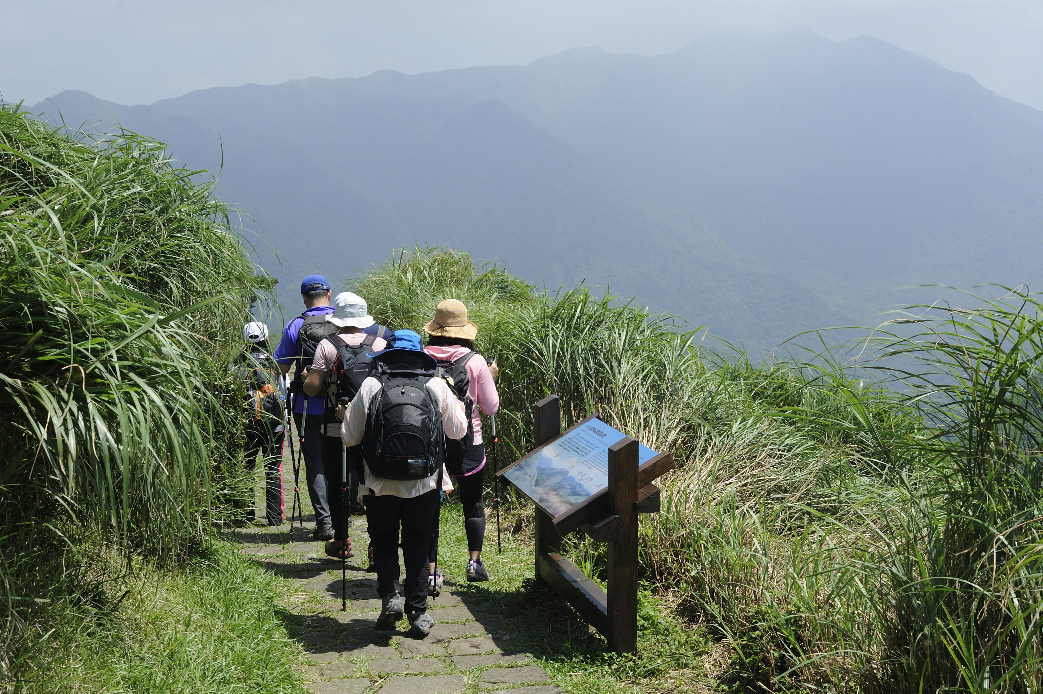 國旅受新冠疫情影響大爆發，很多民眾轉往山林祕境登山旅遊。