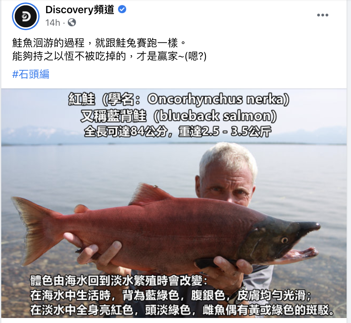 Discovery小編為鮭魚的生存之道下上絕妙註解。（翻攝Discovery頻道臉書）