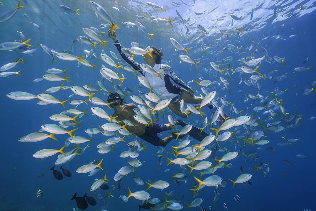 台帛旅遊泡泡計畫正式啟動,最快預計4月1日首航,帶動觀光類股近日歡慶。(翻攝自帛琉觀光局臉書)