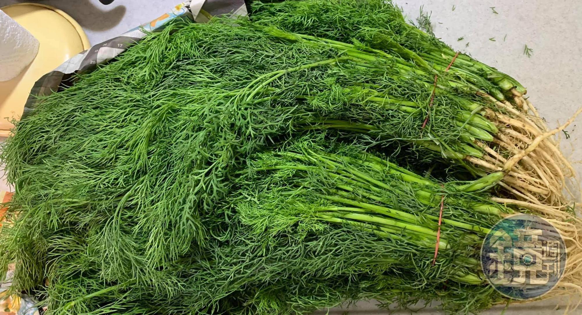 今天準備3斤茴香。