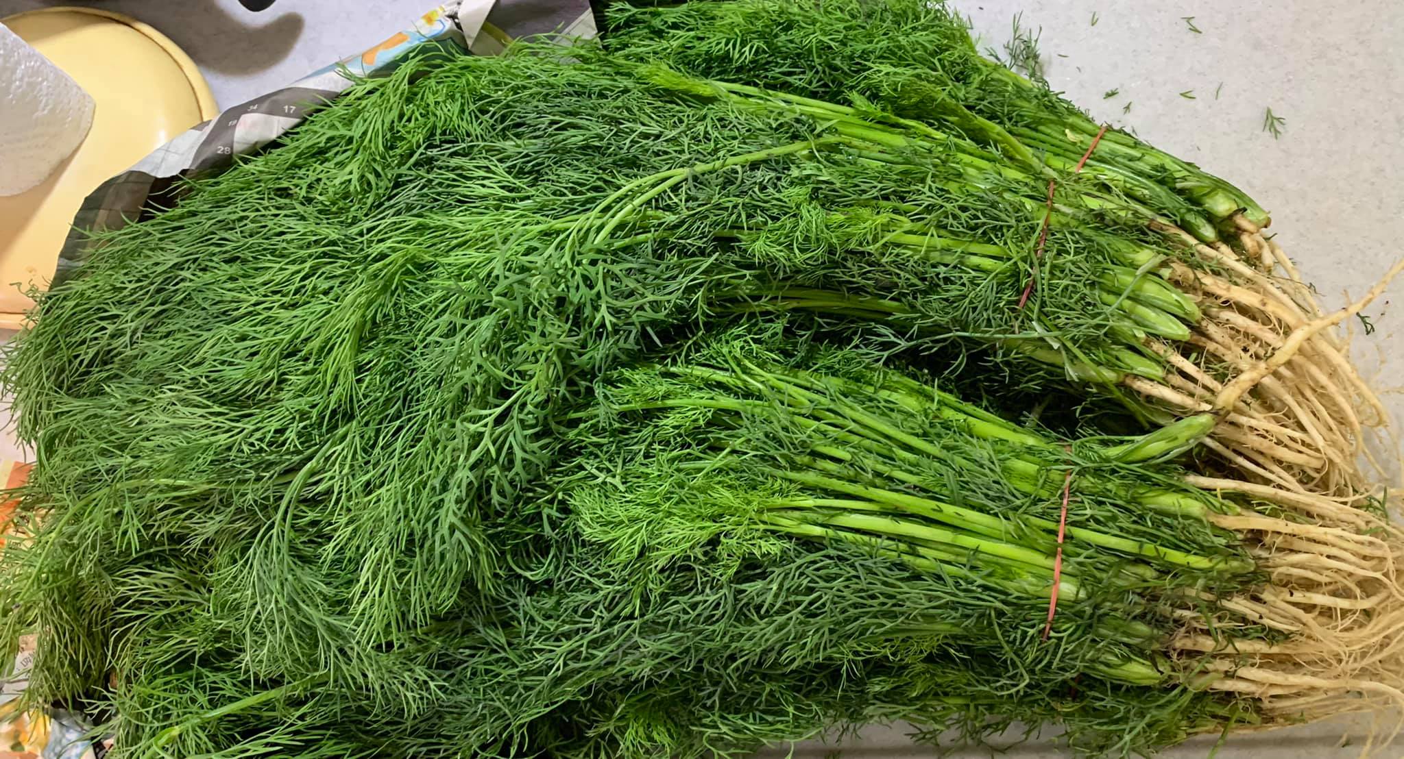 今天準備3斤茴香。