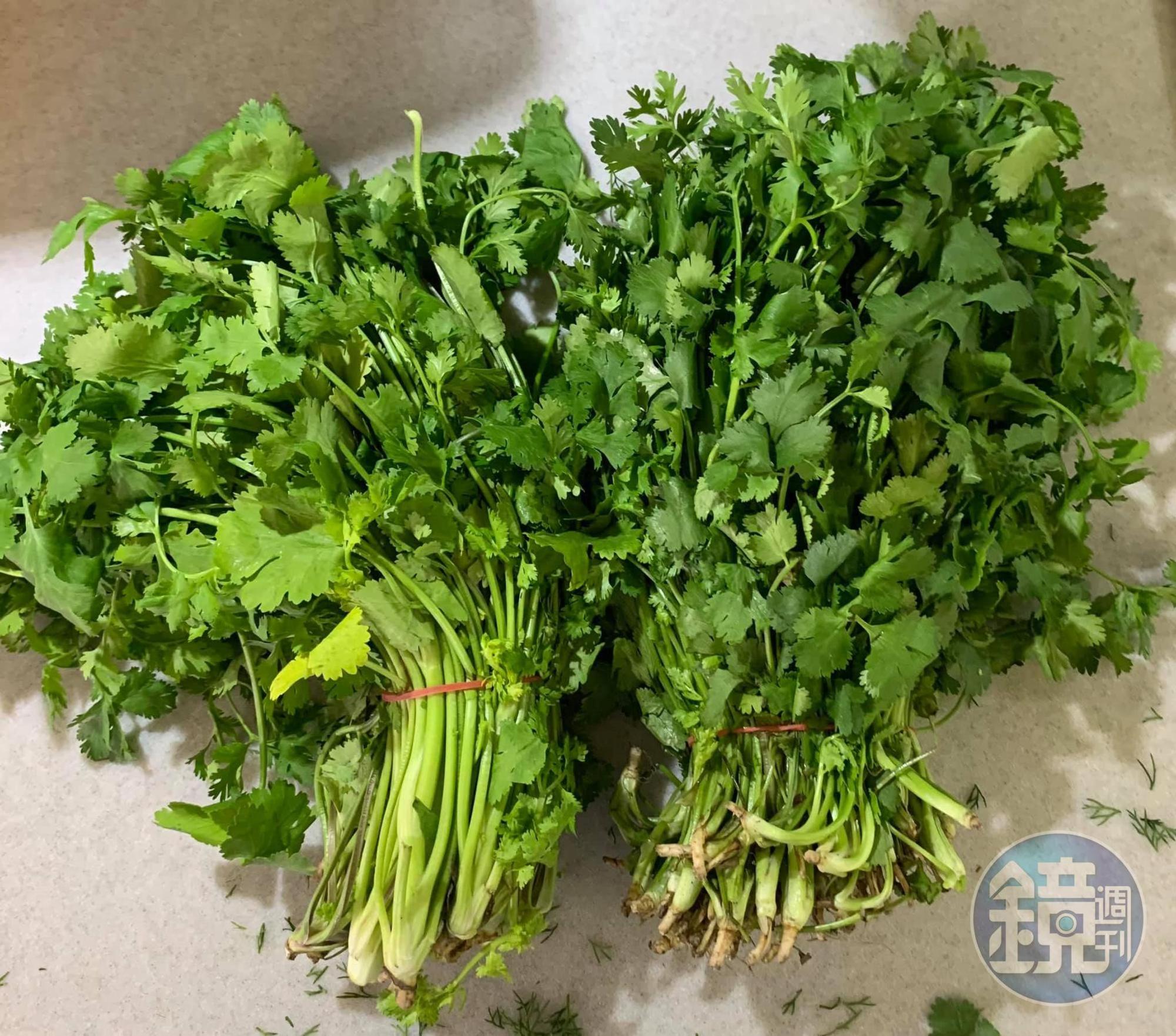 備妥兩大把香菜。