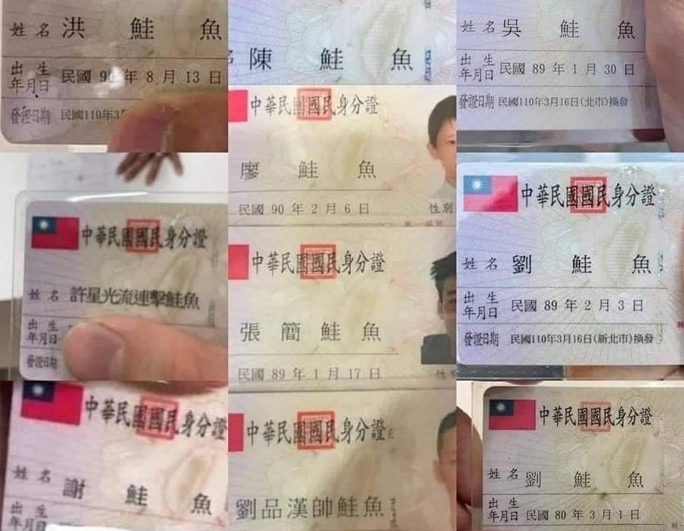 台灣超過250人改名「鮭魚」結果就有人發現自己小時候被改過名不知道，還得央求父親也改成同名名姓換回名字。（翻攝畫面）