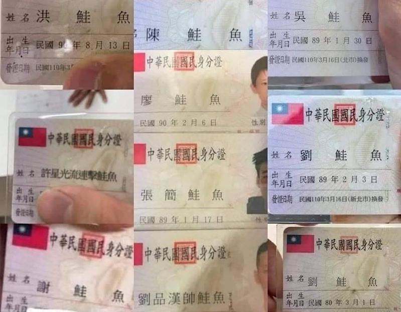 台灣逾300人改名「鮭魚」,只為免費吃壽司。(翻攝畫面)