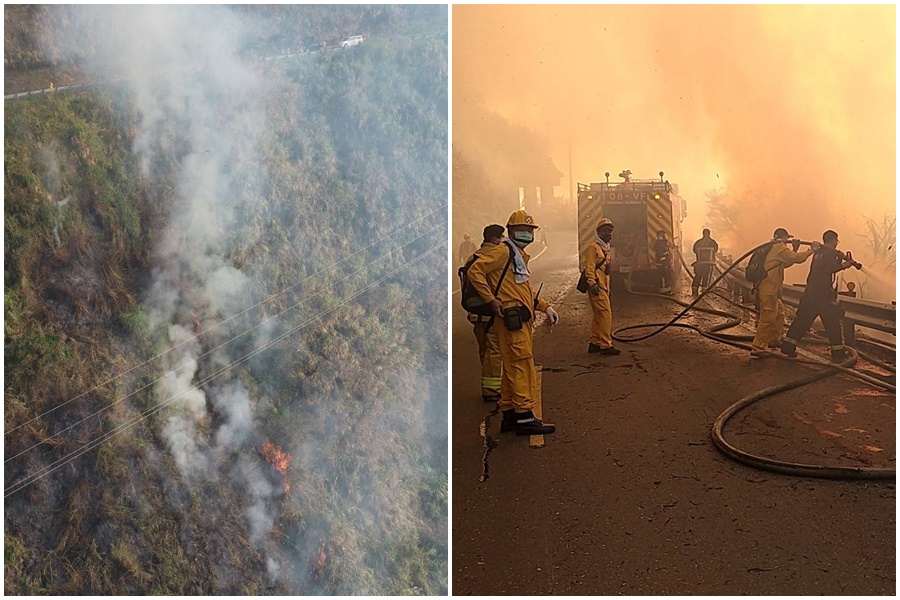 阿里山發生森林大火,嘉義縣消防局等單位已出動滅火。(翻攝自林務局官網)