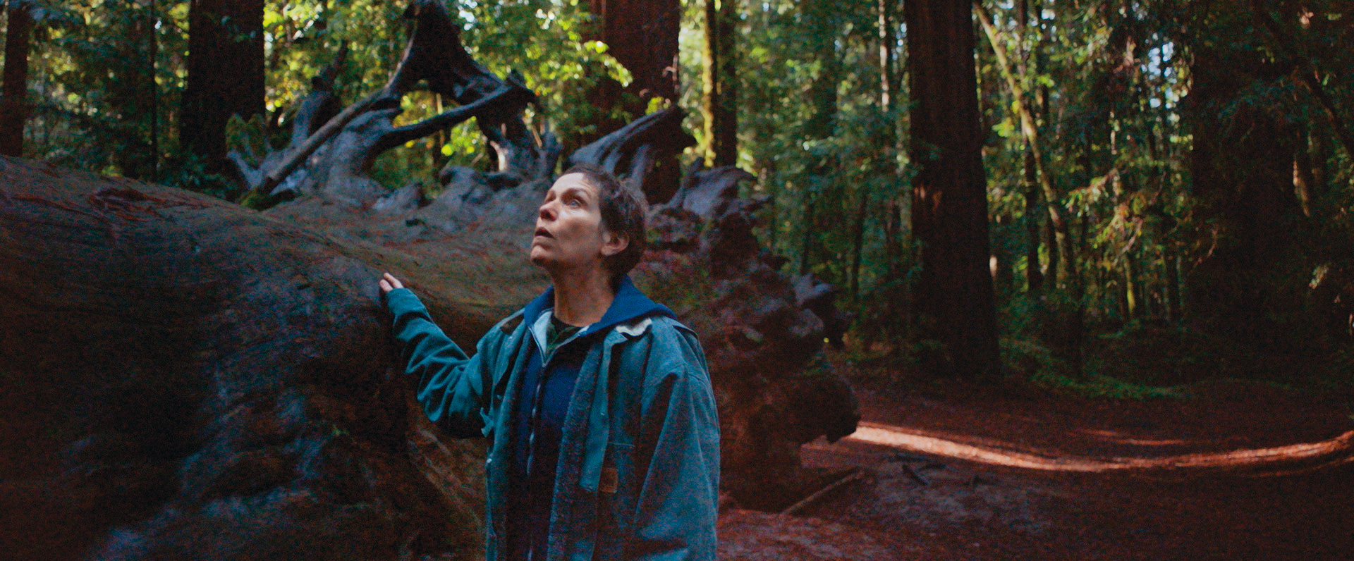 《游牧人生》在輕描淡寫中凸顯非凡內蘊，每個故事和人物自然地成為銀幕亮點。（探照燈影業提供）