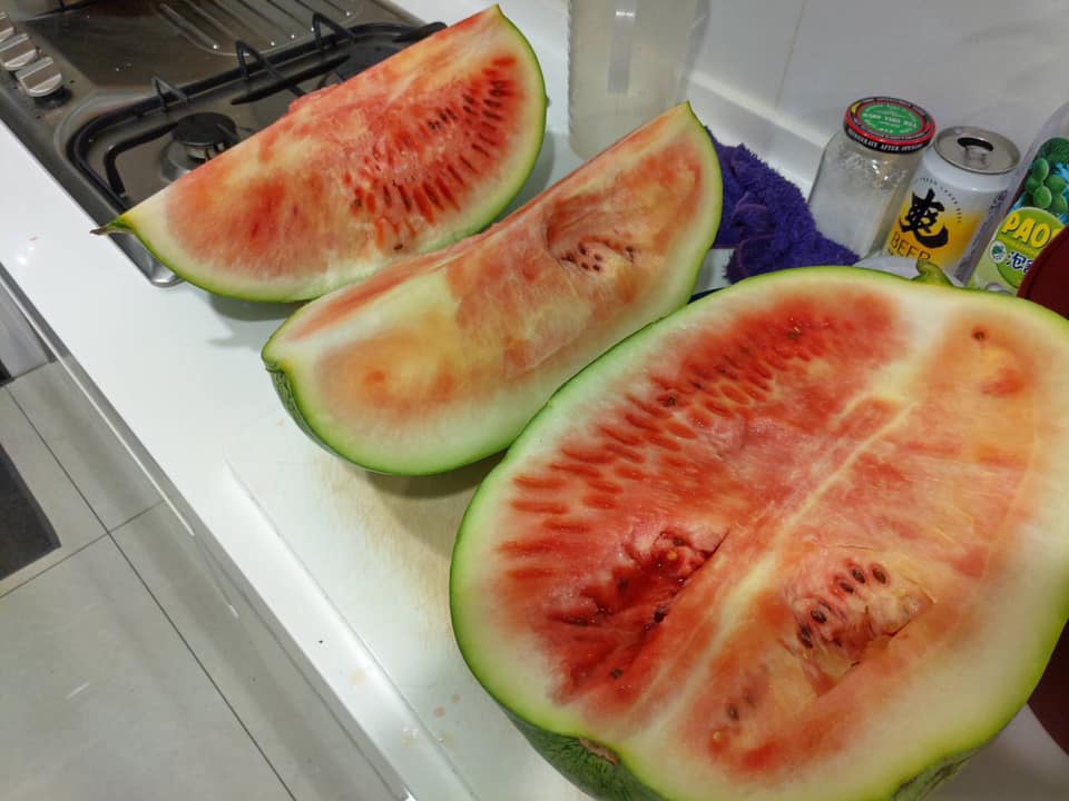 原PO買到慘白大西瓜。（翻攝臉書社團「Costco好市多 商品經驗老實說」）