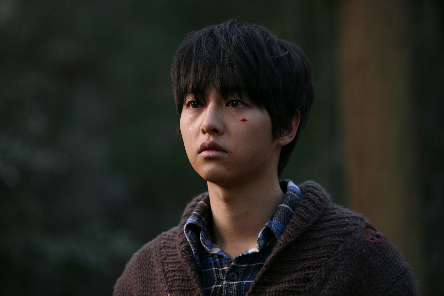 《狼少年：不朽的愛》上映於2012年，宋仲基坦承至今仍未出戲。（網路圖片）