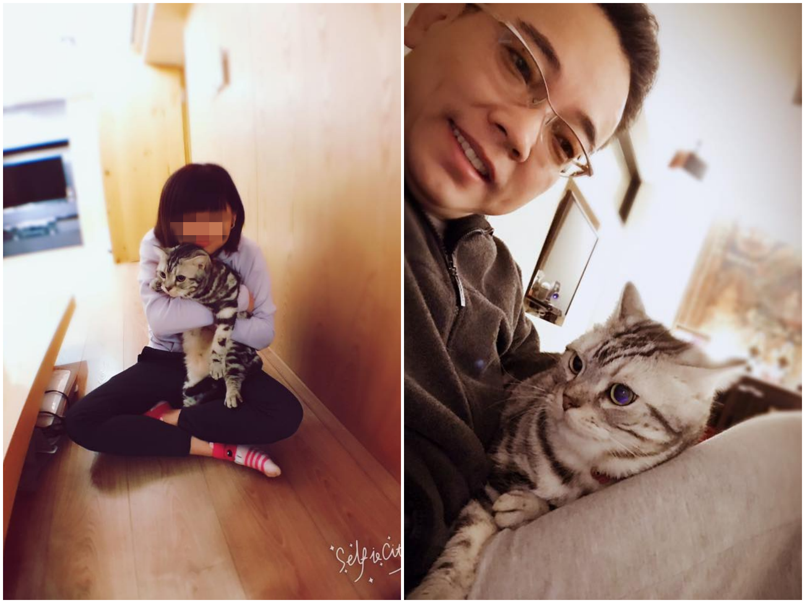 詹惟中家中有2隻貓，灰灰是3年前透過領養來的。（翻攝自詹惟中 就是愛算命臉書）