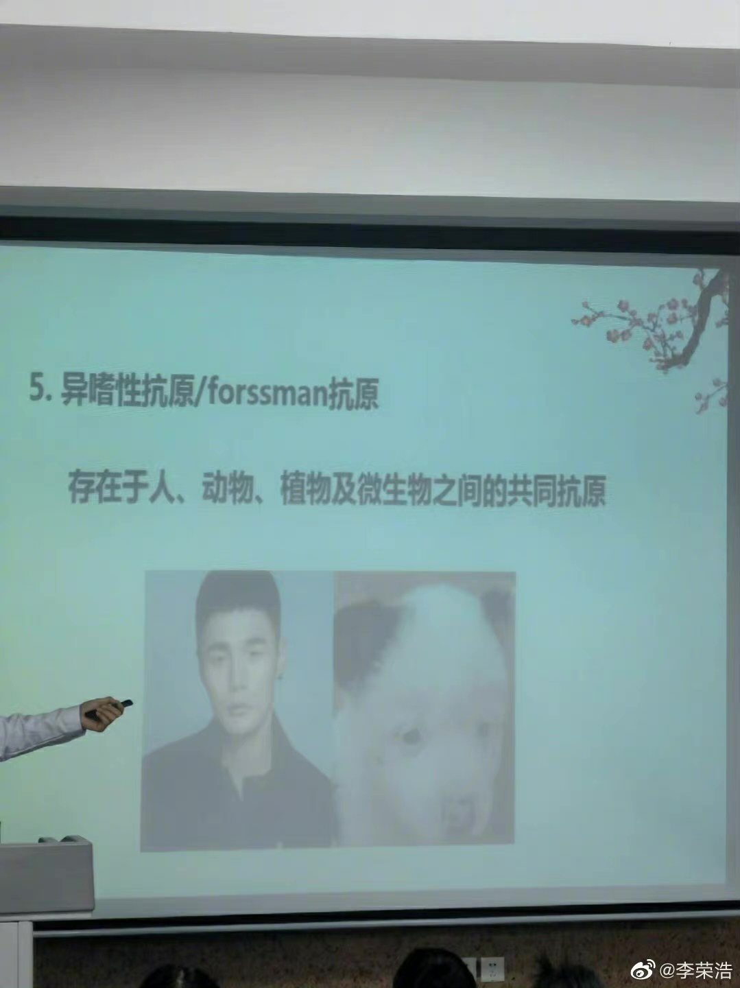 李榮浩與狗的對比照成了生物課教材。(翻攝自李榮浩微博)