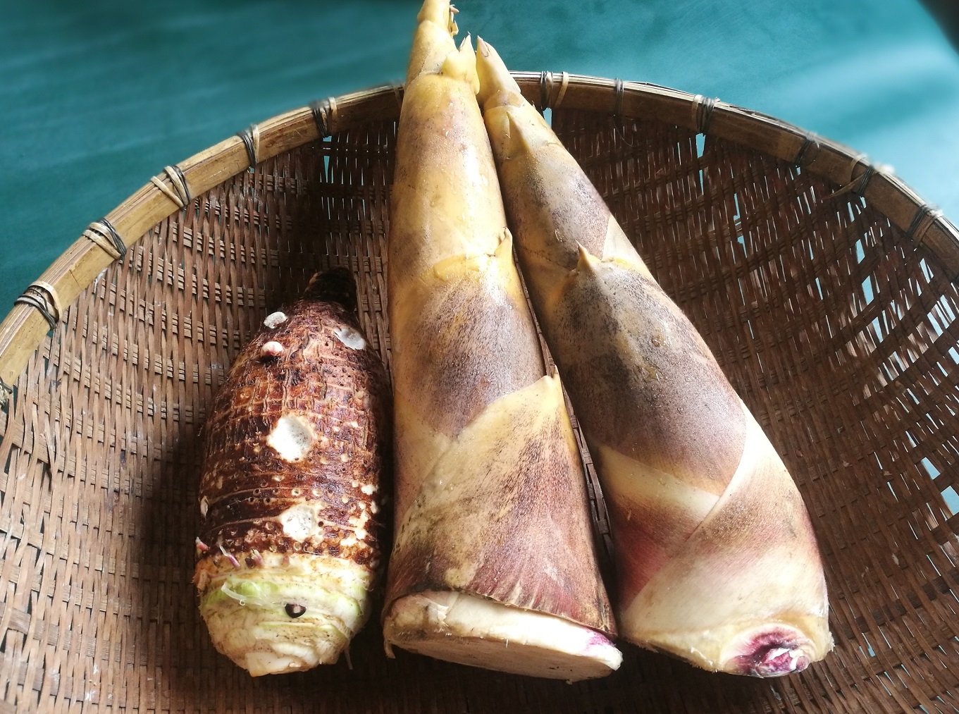 自家栽種的檳榔心芋頭與石龜特產烏殼綠竹筍。