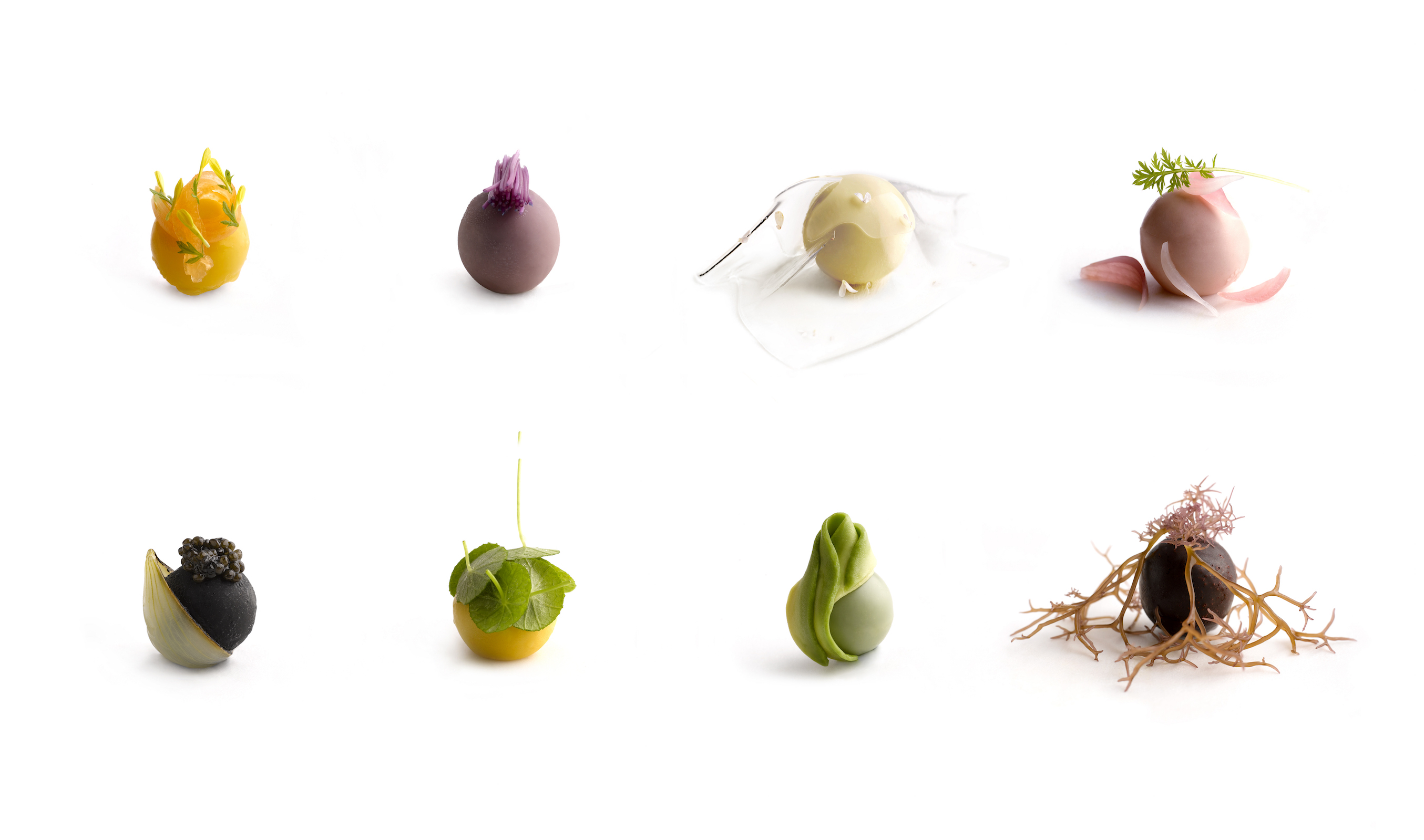 Capsule of Black forest 黑森林膠囊。(RAW提供)