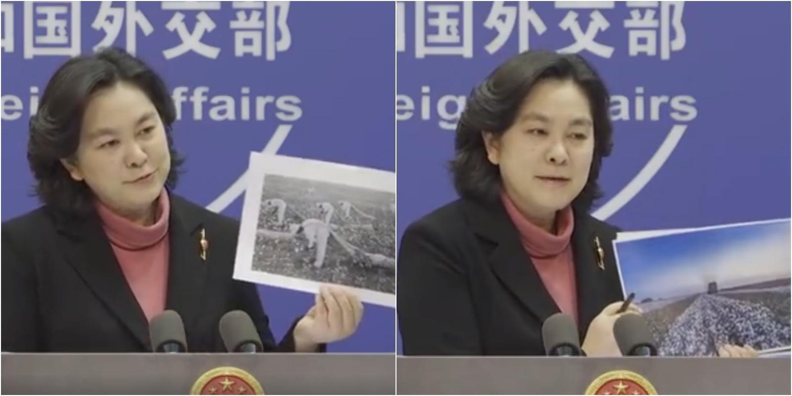 中國外交部發言人華春瑩拿出美國黑人採棉花與新疆棉花田的照片，反擊西方國家指控。（翻攝自新華社微博）