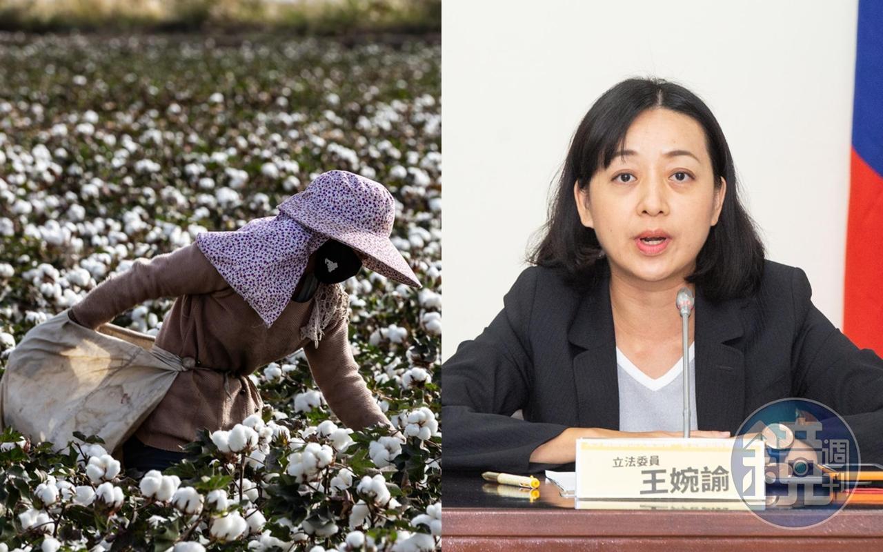 面對藝人紛紛表態力挺新疆棉，王婉諭表示，在中共面前沒有偶像、沒有不表態的權利。（東方IC／本刊資料照）