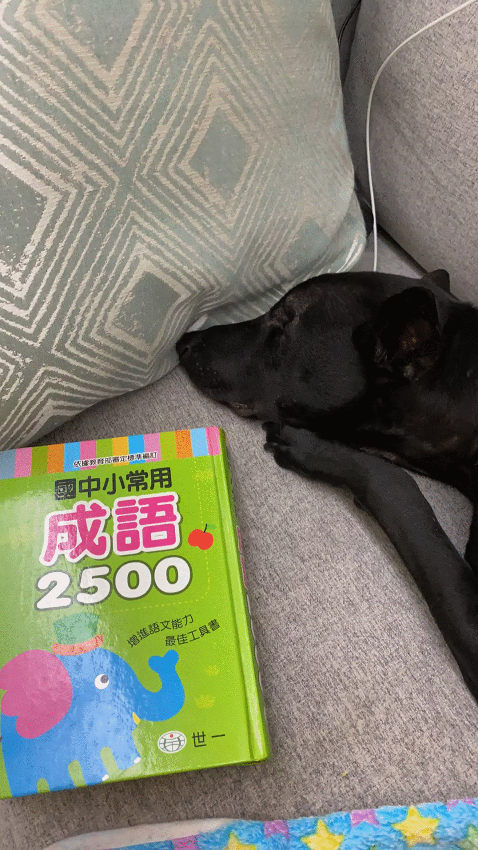 米可白上《天才衝衝衝》卡關，回家竟是查「兒童字典」。（華視提供）