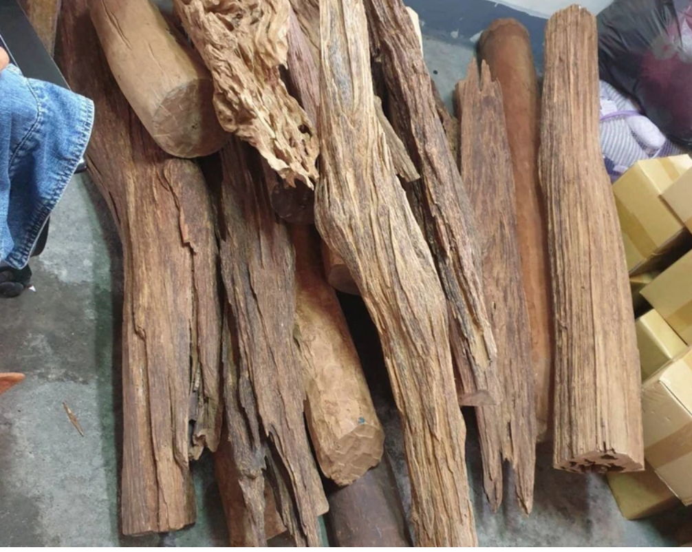 竊賊搬走珍貴的沉香木。(翻攝畫面)
