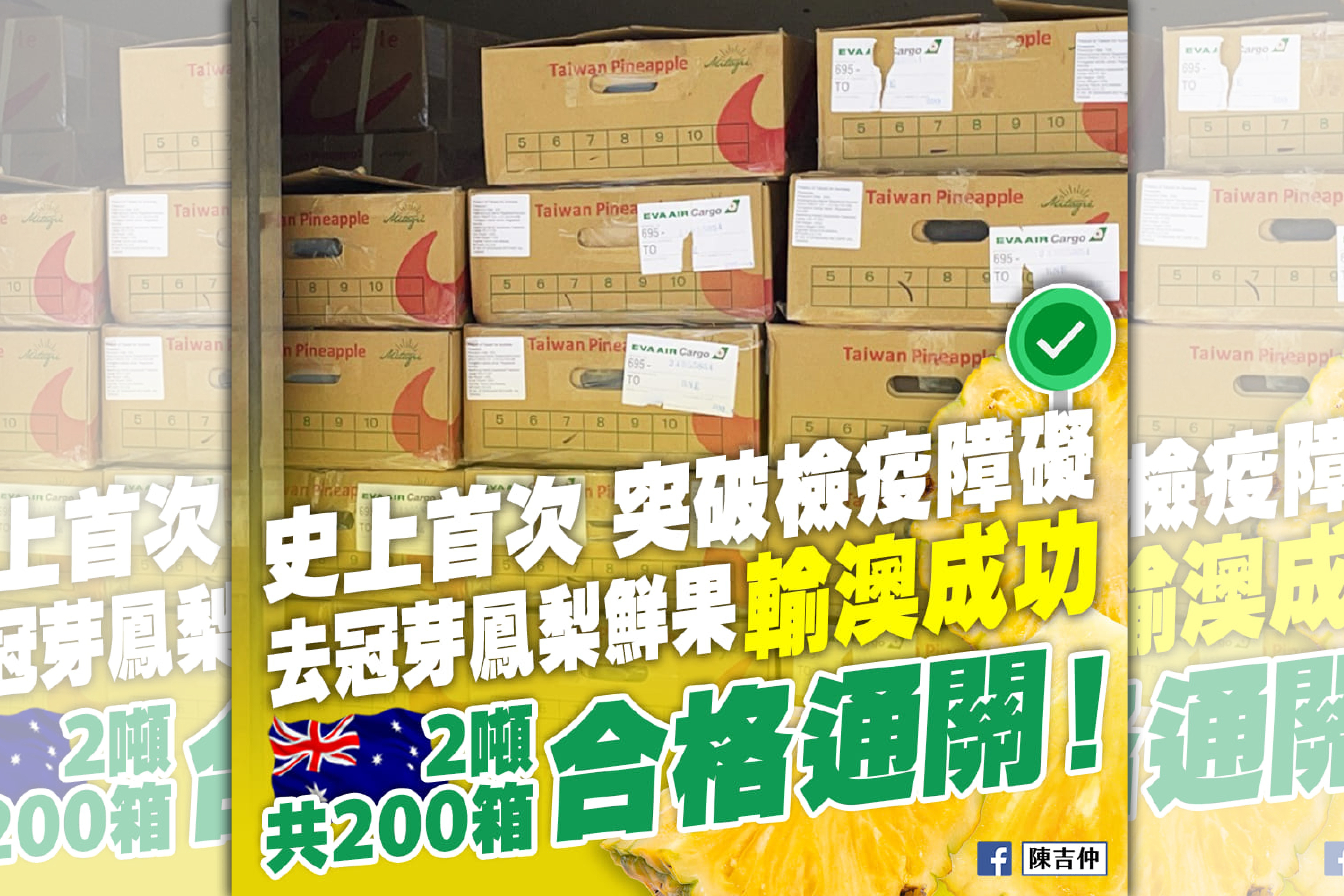 由澳洲消費者預購2公噸台灣鳳梨，於25日空運抵達澳洲，在嚴格檢疫下合格順利通關。（翻攝自陳吉仲臉書）
