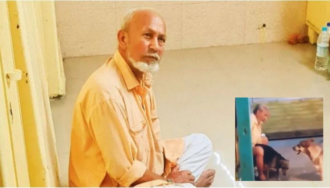 老翁被投訴藉餵食親近浪浪，再趁機性侵。（翻攝自Twitter）