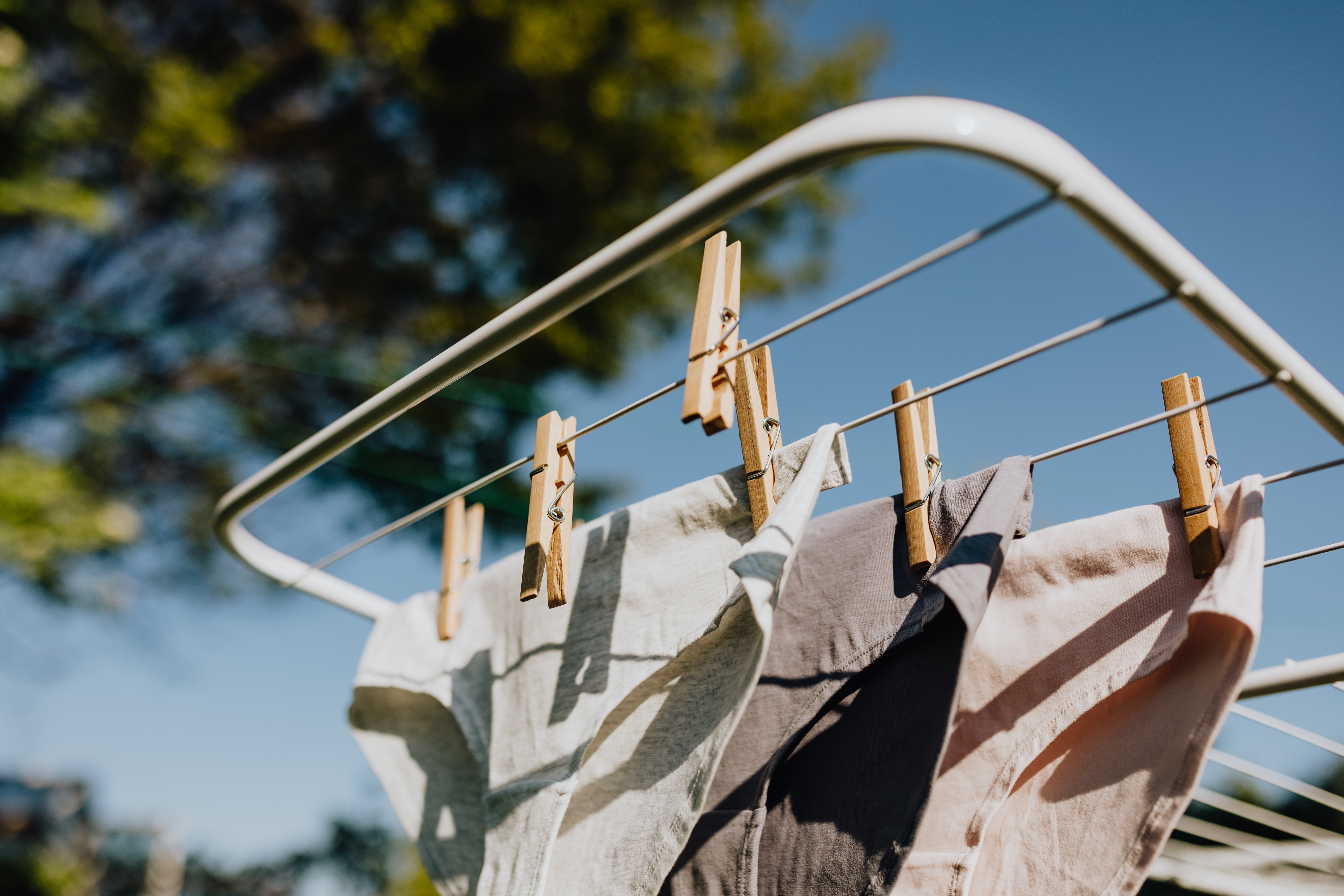 原PO收到幼稚園的單子，提醒拍畢業照的注意事項。（示意圖，翻攝自pexels）