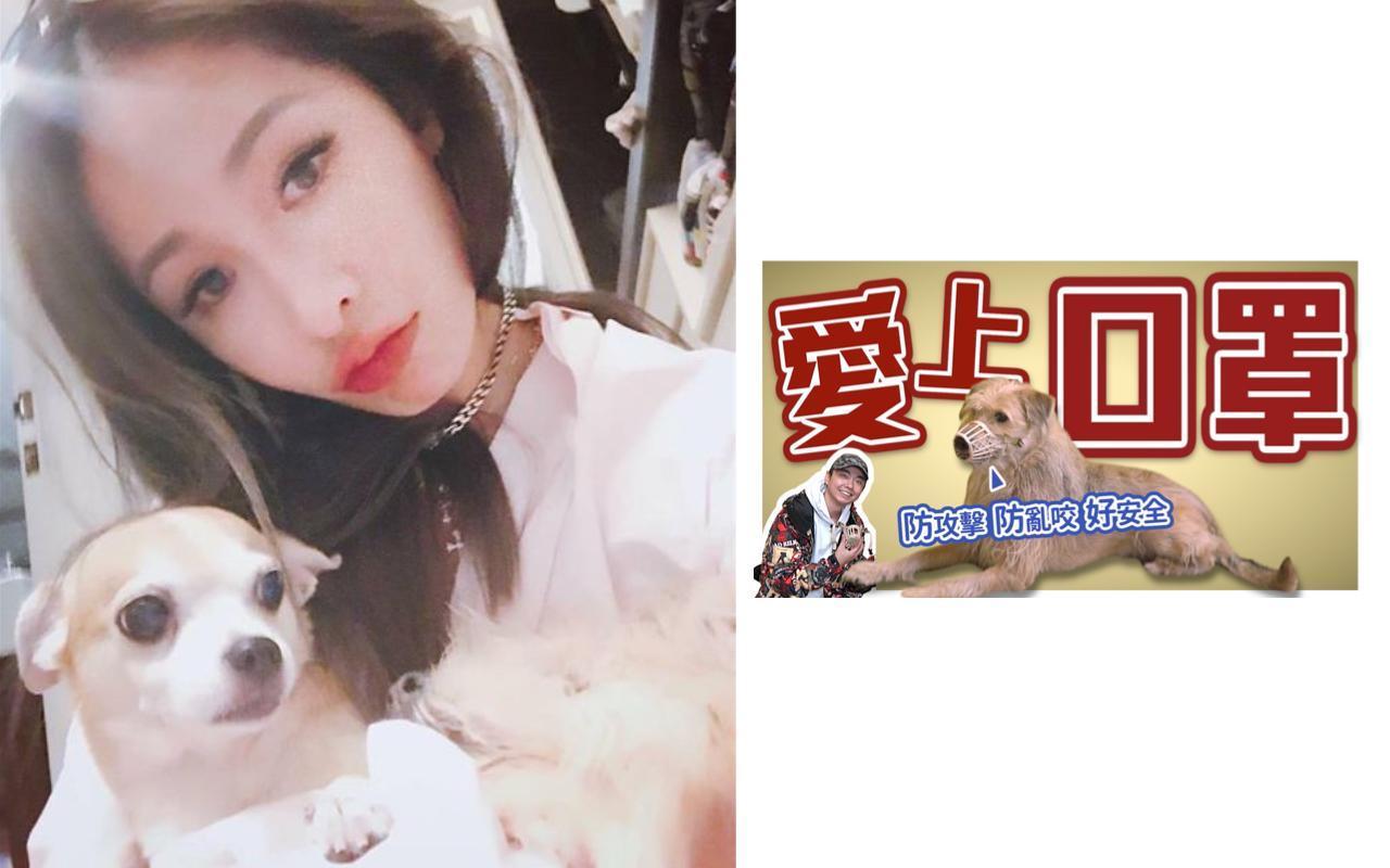 蕭亞軒（左圖）的愛犬發狂，咬傷她與男友。「熊爸」（右圖）教授幫毛小孩戴口罩的妙招。（翻攝自蕭亞軒IG、本刊資料室）