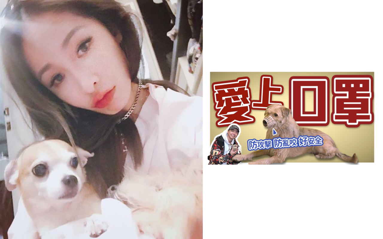 蕭亞軒(左圖)的愛犬發狂,咬傷她與男友。「熊爸」(右圖)教授幫毛小孩戴口罩的妙招。(翻攝自蕭亞軒IG、本刊資料室)